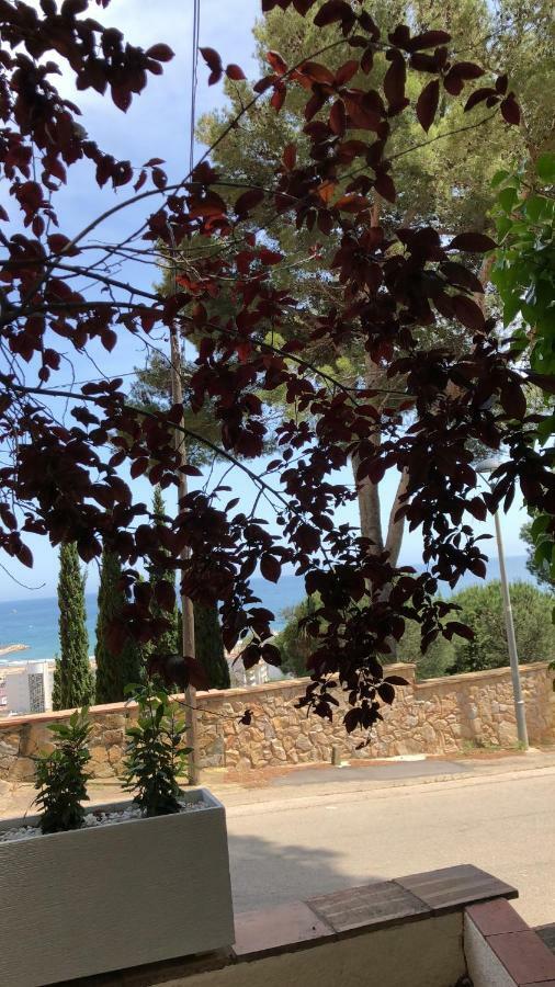 Mediterrania 98 Torroella de Montgrí Екстериор снимка